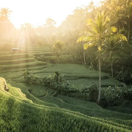 Promo! Luxury Villa Escape In Ubud 2 Br Exterior photo